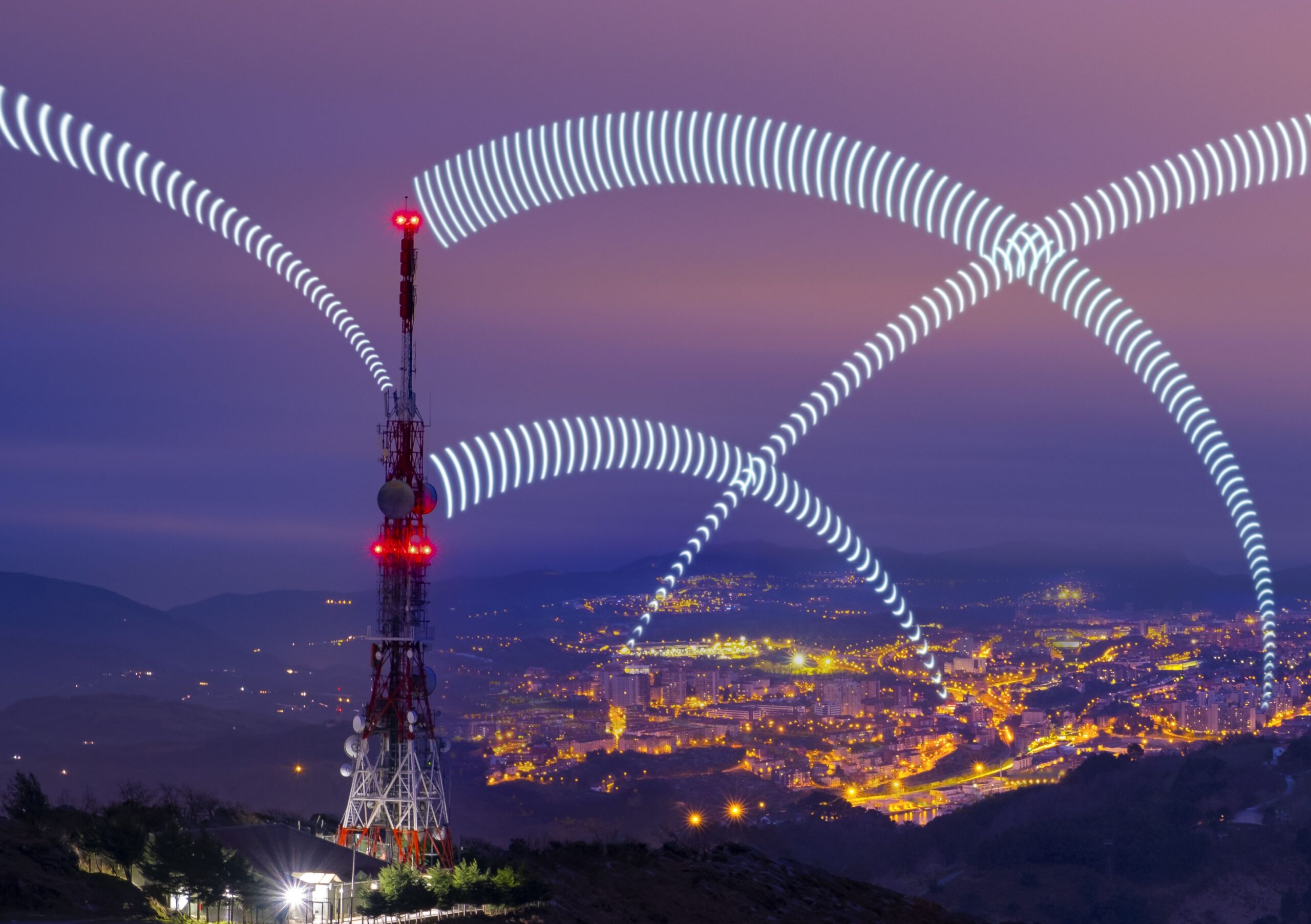 Maintenance & Support Services